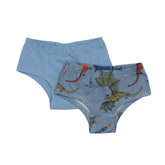 Colorful Dragon-Brief