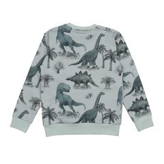 Dinosaurland-Sweatshirt