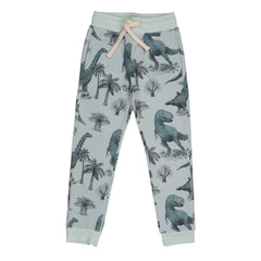 Dinosaurland Jogger