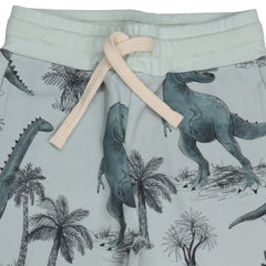 Dinosaurland Jogger