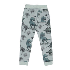 Dinosaurland Jogger