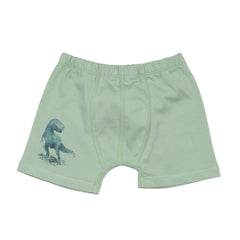 Dinozor Diyarı - Pamuk (Organik)