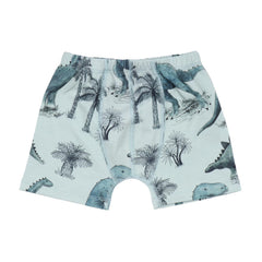 Dinozor Diyarı - Pamuk (Organik)