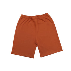 Dinosaurland - Baumwolle (Bio)