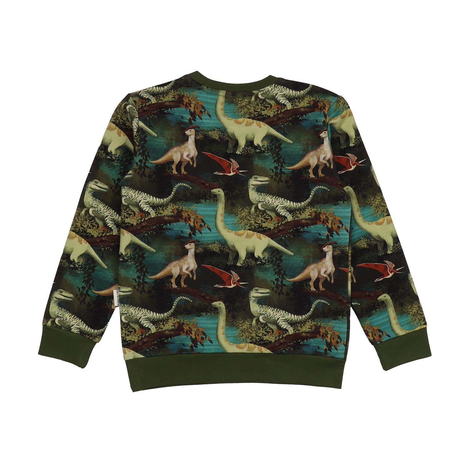 Dinasour Jungle-Sweatshirt