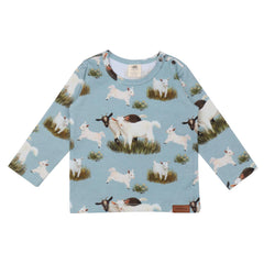 Keçi Ailesi - Pamuk (Organik)