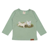 Keçi Ailesi - Pamuk (Organik)