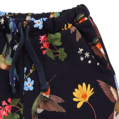 Hummingbirds Around Flowers-Shorts