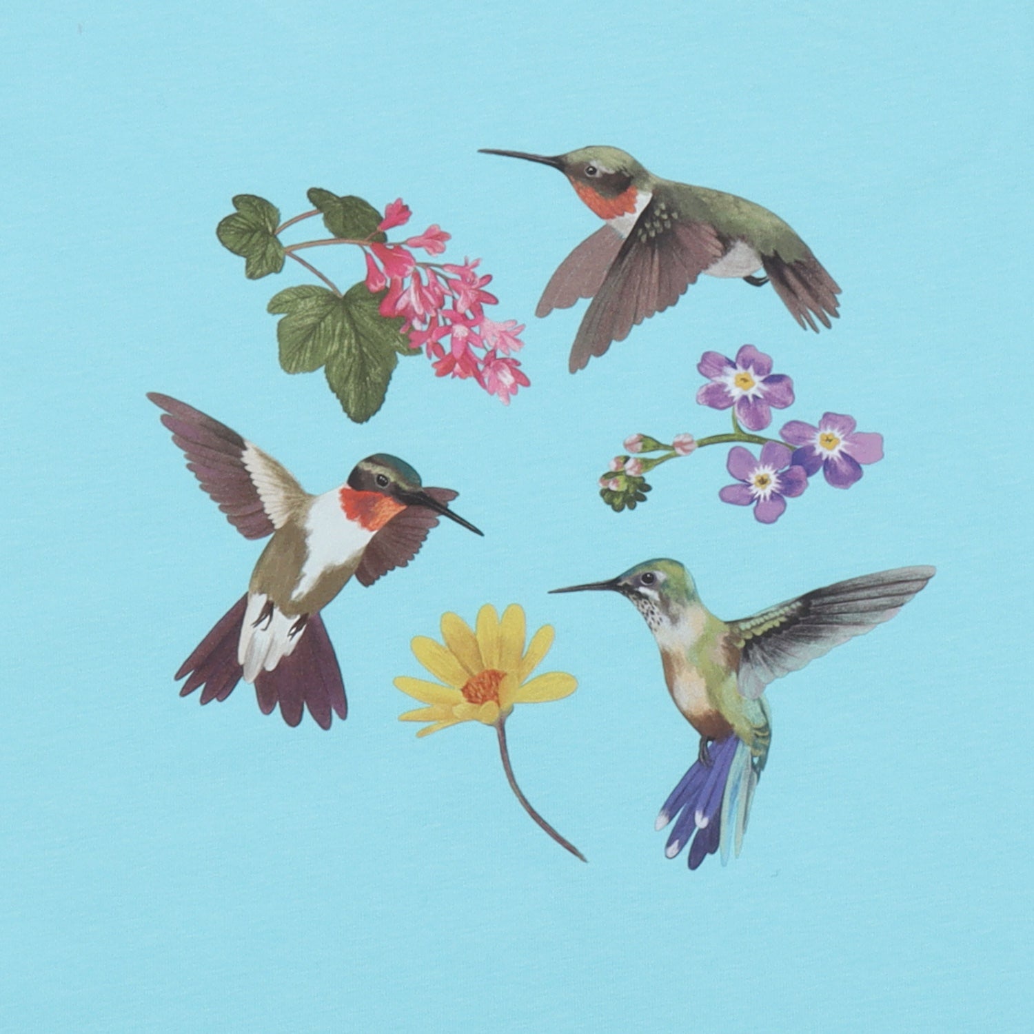 Hummingbirds Around Flowers-T-Shirt