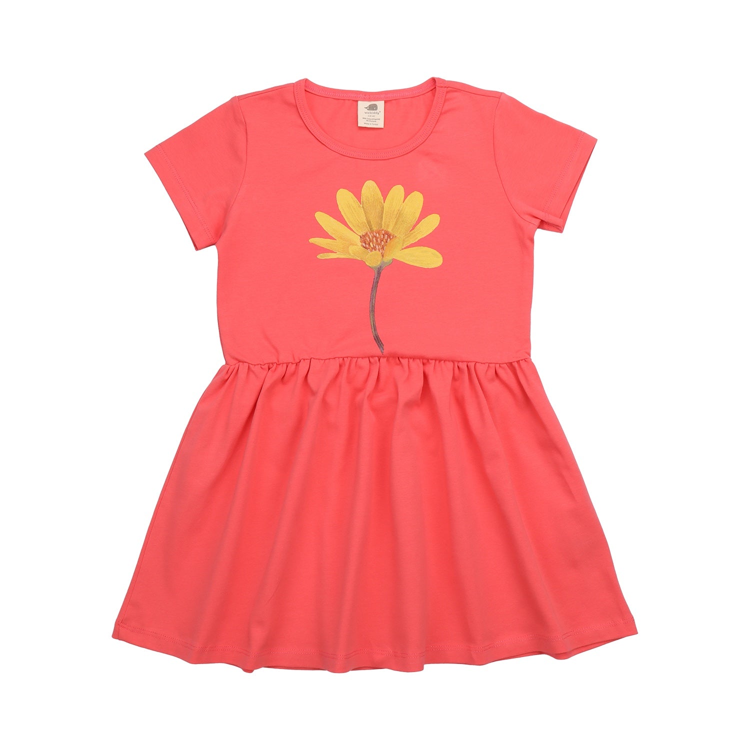 Hummingbirds Around Flowers-Dress