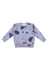 Pullover sweatshirt van katoen (biologisch)