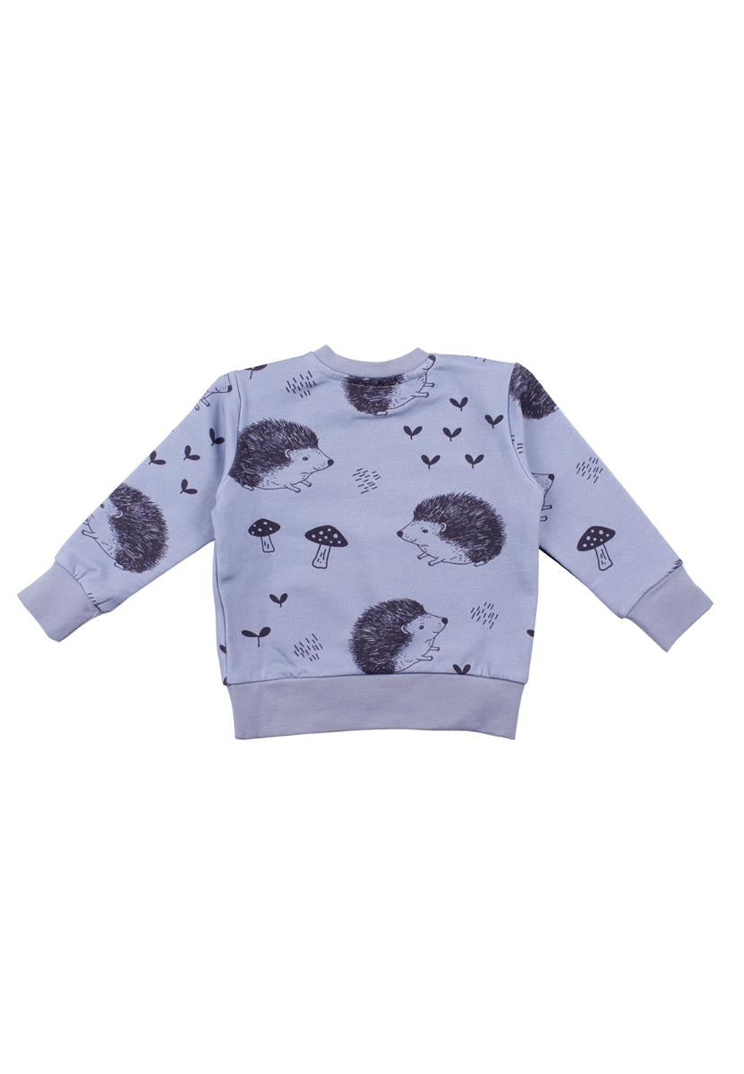 Pullover-Sweatshirt aus Baumwolle (Bio)