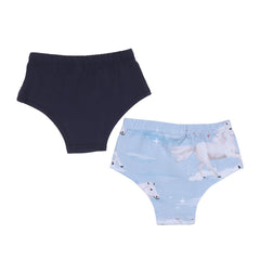 Cotton briefs (organic)
