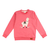 Pullover sweatshirt van katoen (biologisch)