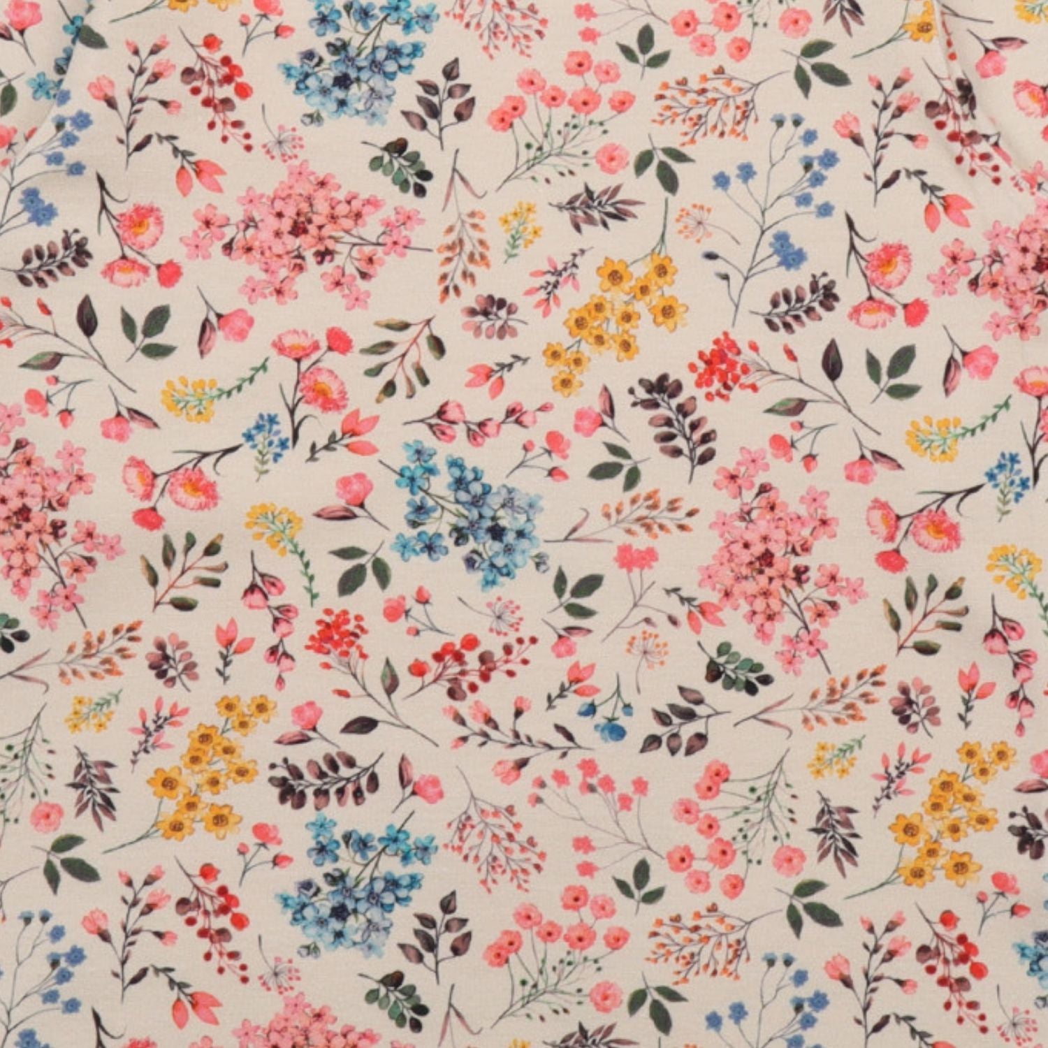MN99-218 image 3