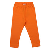 Sorvete de Manga - Algodão (Orgânico)