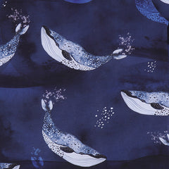 Maglietta a maniche lunghe in cotone (biologico)