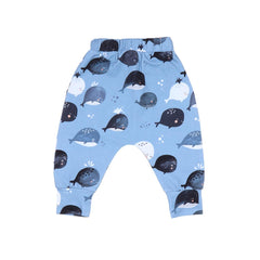 Calças de jogging de algodão (orgânico)