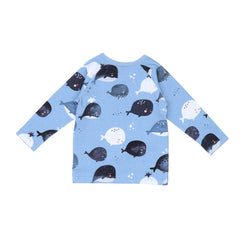 Maglietta a maniche lunghe in cotone (biologico)