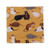 Écharpe en coton (bio)