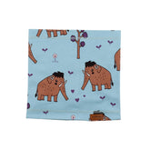 Katoenen sjaal (biologisch)