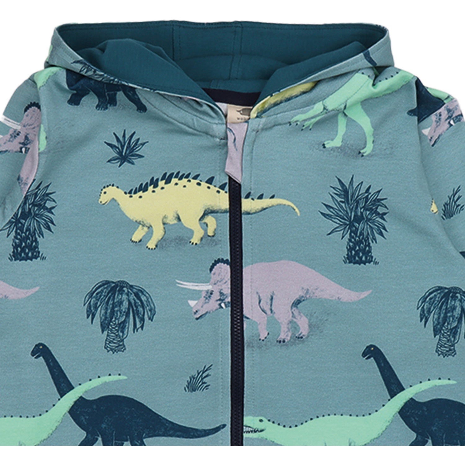 Running Dinosaurs-Sweat Jacket