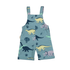 Running dinosaurs-Dungarees