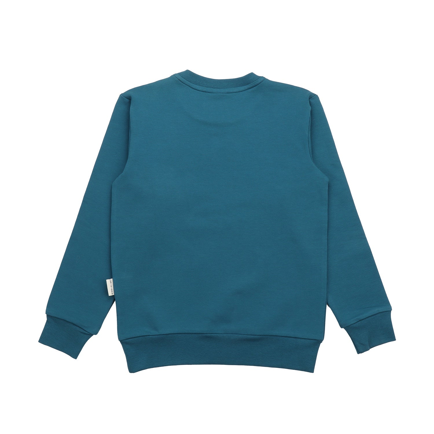 Running Dinosaurs-Sweatshirt