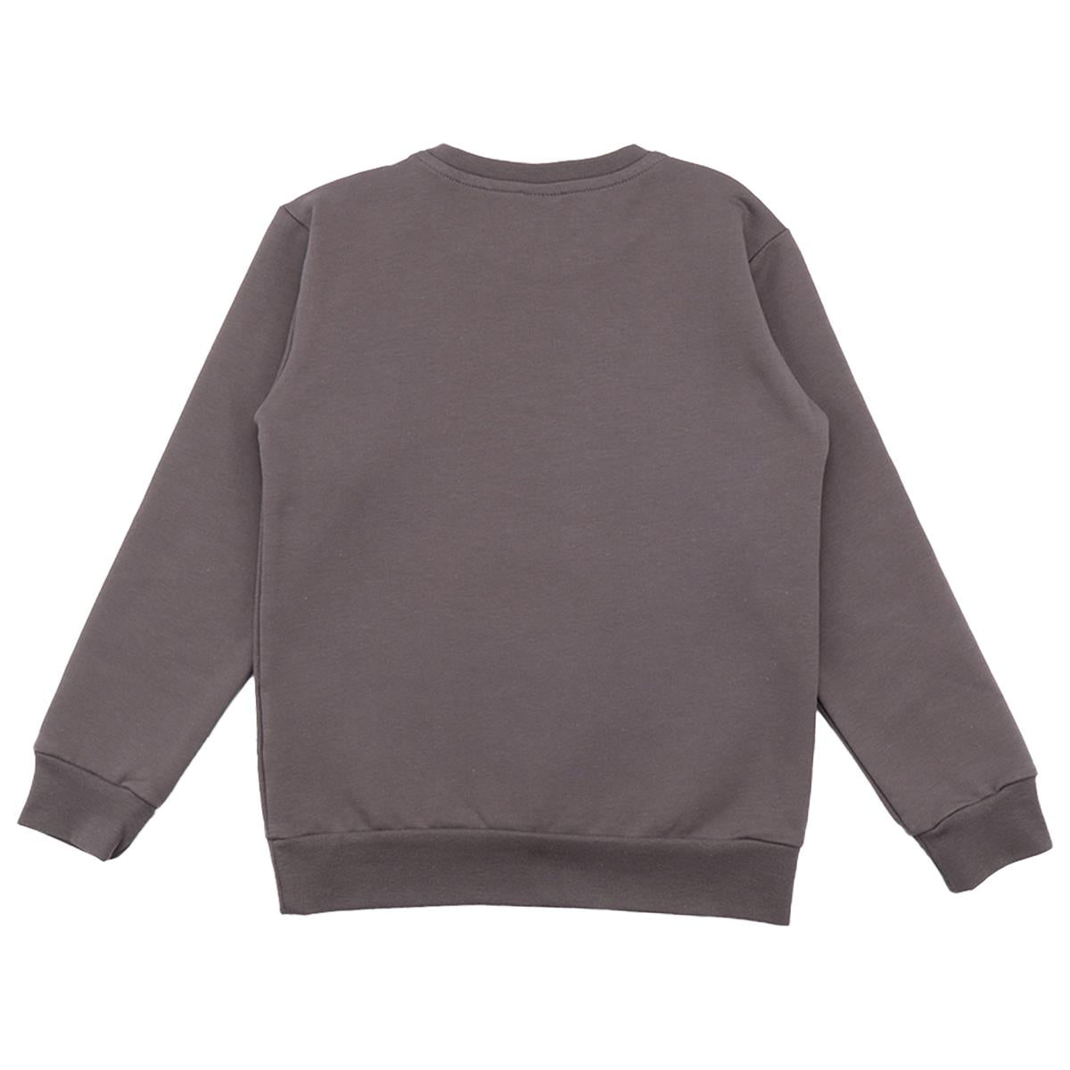 Anthracite/Royal Lynxes