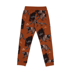 Curious Raccoons-Jogger