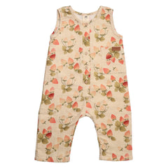 حديقة الفراولة - الموصلي