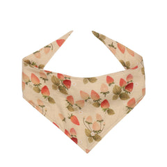 Çilek Bahçesi - Müsli