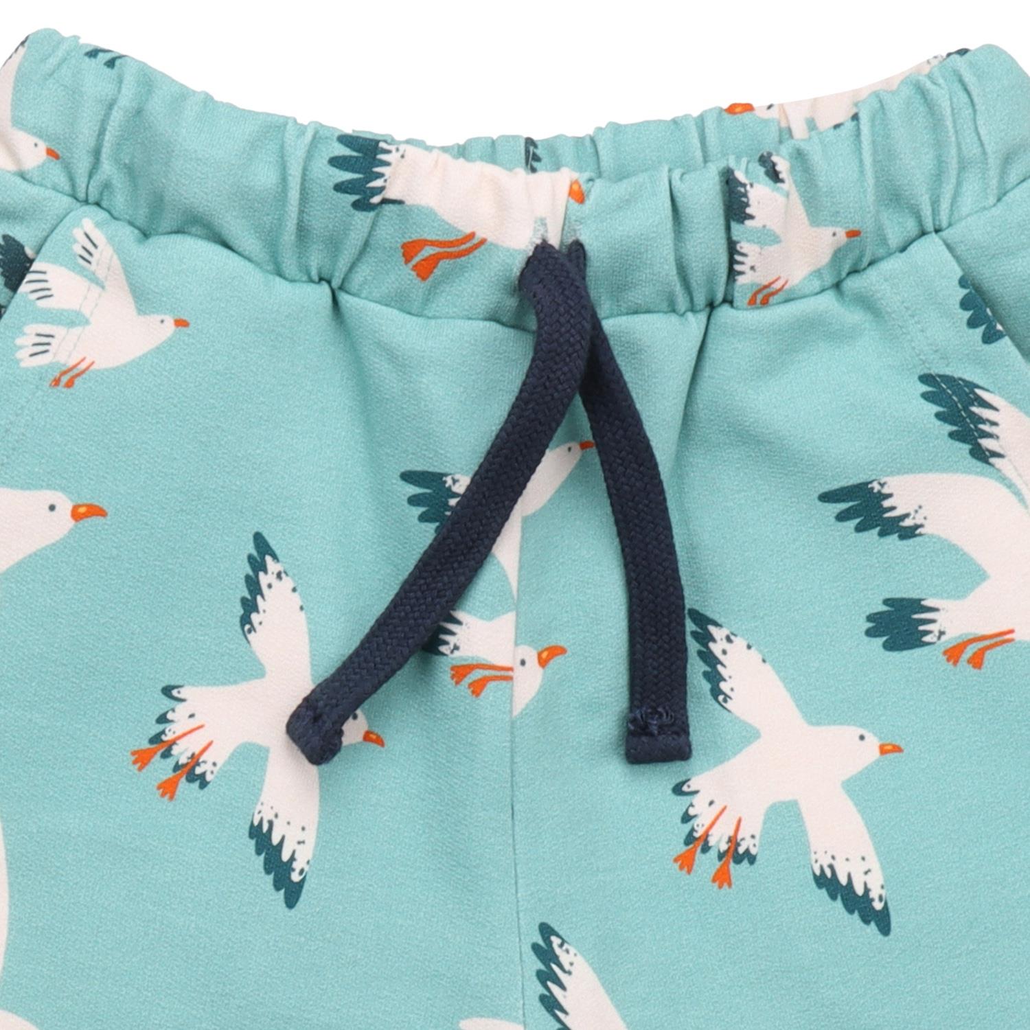 Seagulls-Shorts