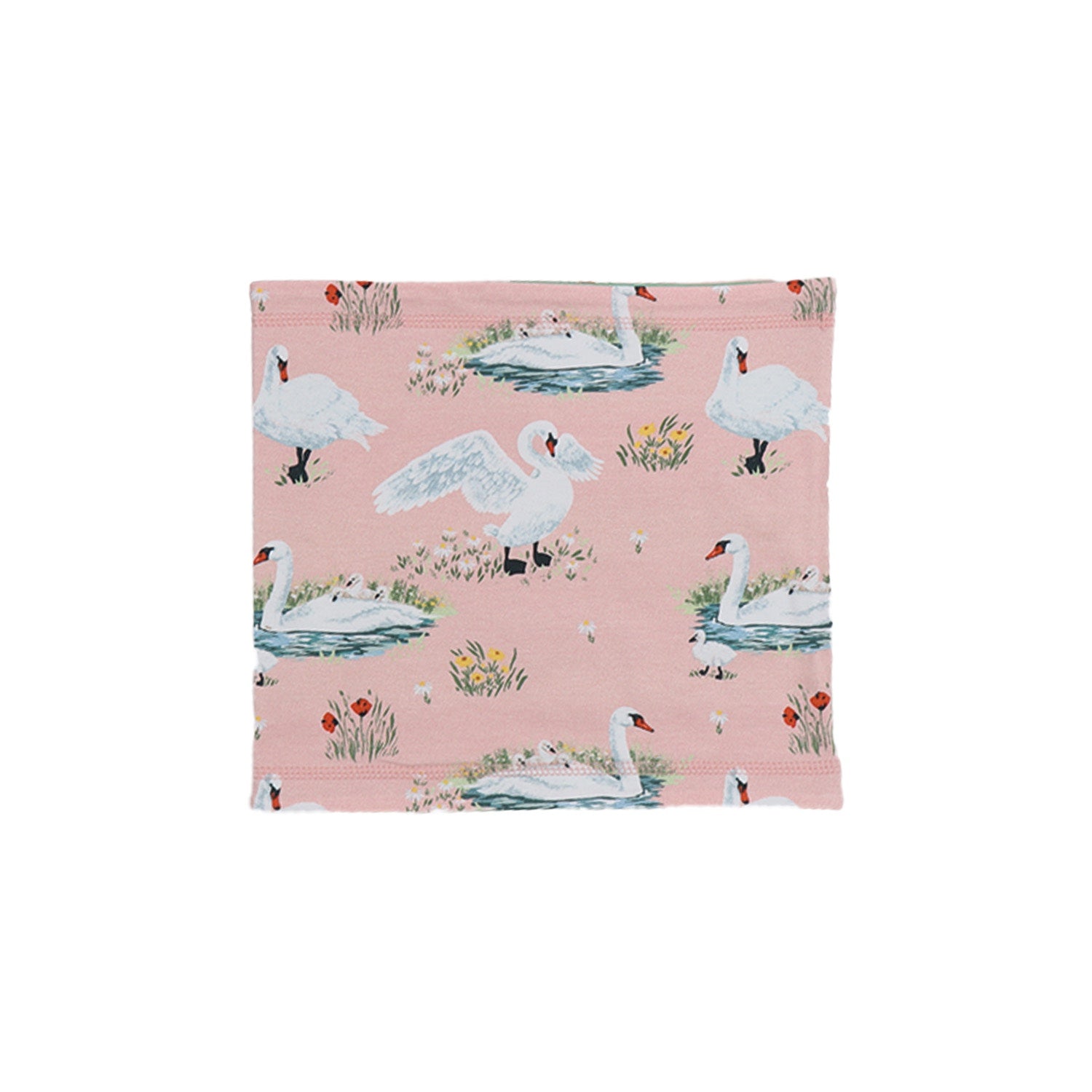 Swans in Spring-Loop