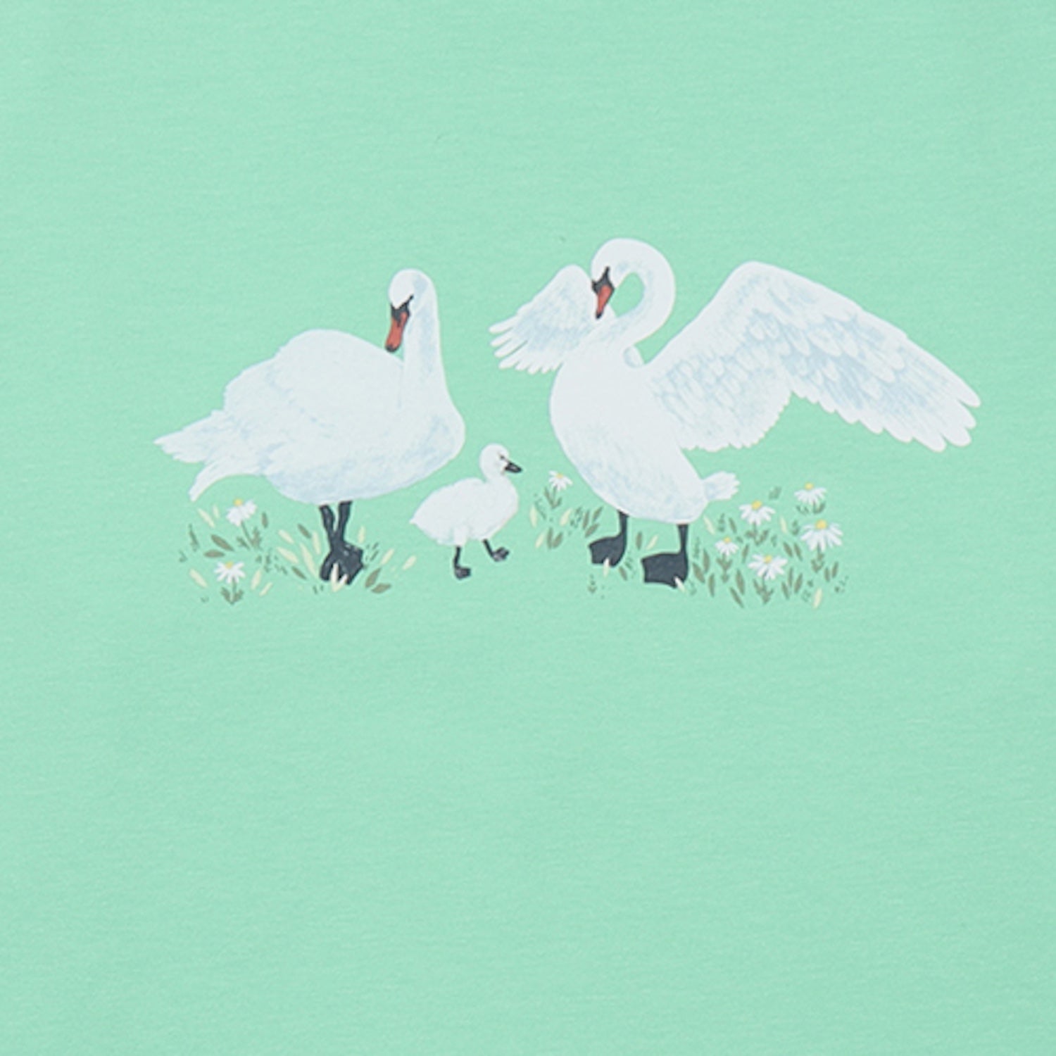 Swans in Spring-Shirt