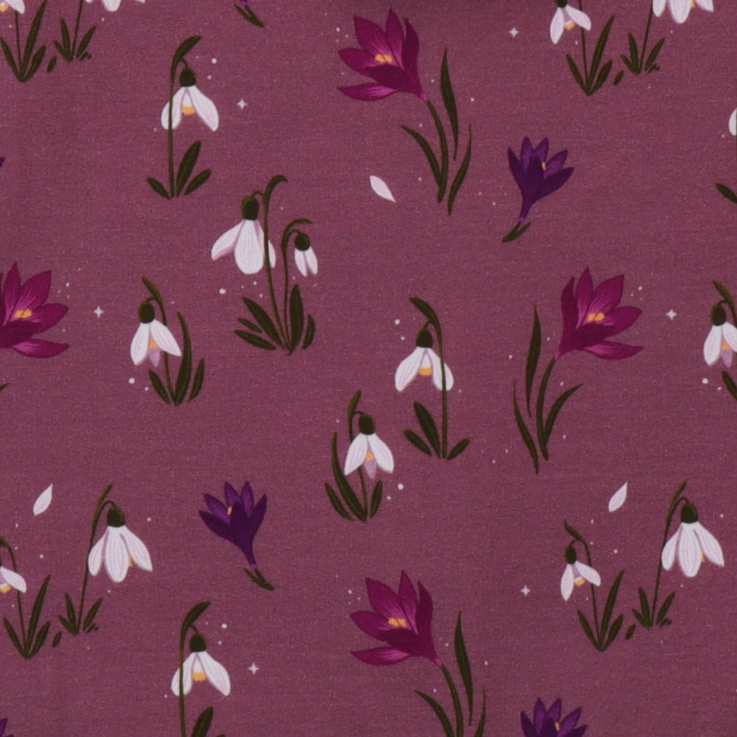 The Snow Drops-Sweat jacket