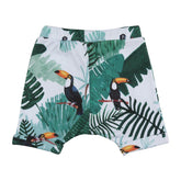 Katoenen shorts (biologisch)