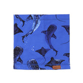 Katoenen sjaal (biologisch)