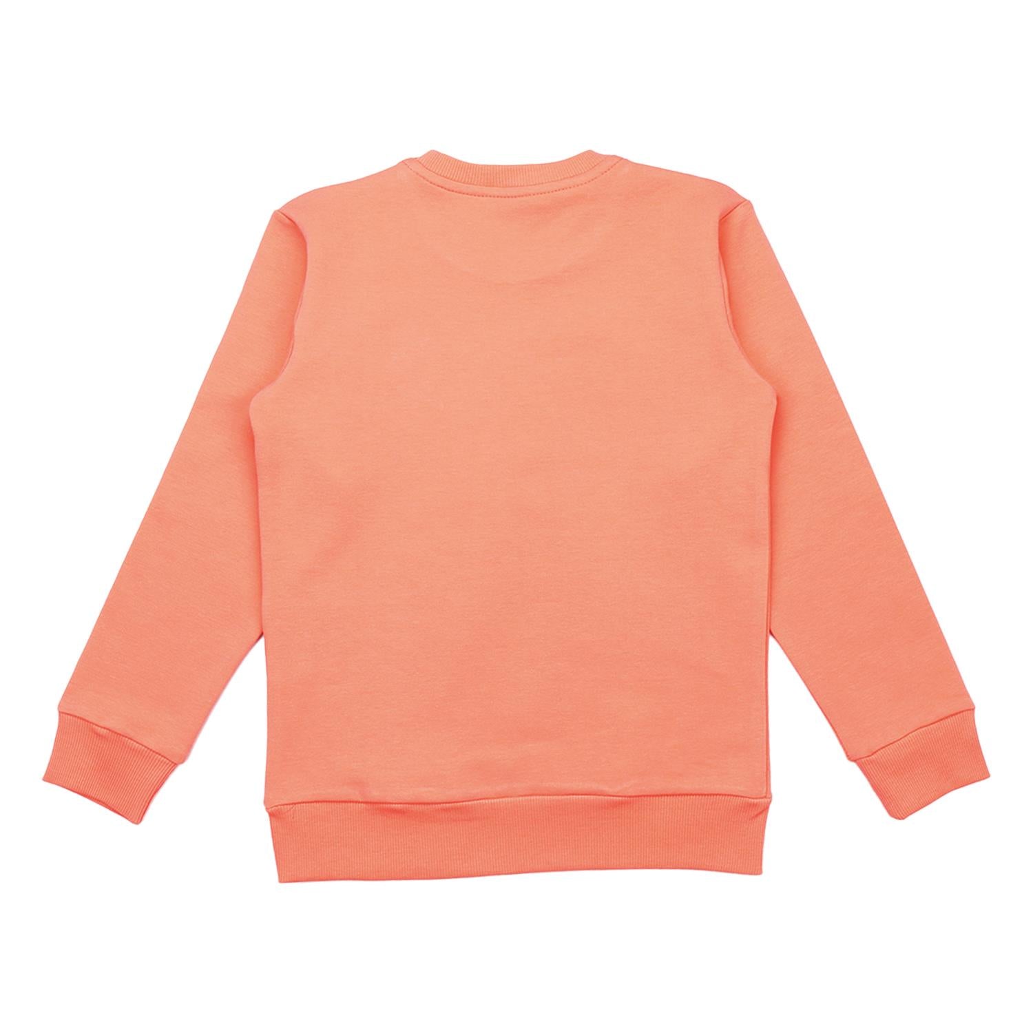 Blue Flowers sweatshirt