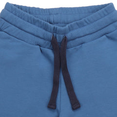 Dark Blue 30 Shorts