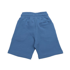 Dark Blue 30 Shorts