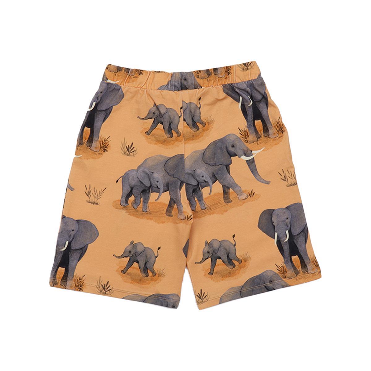 Katoenen shorts (biologisch)