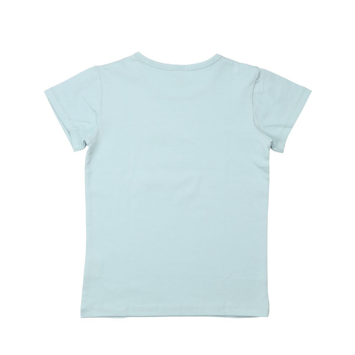 Cotton T-shirt (organic)