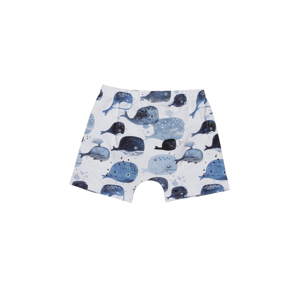 Boxers en coton (bio)