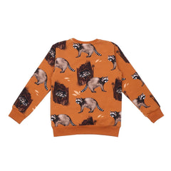 Pullover sweatshirt van katoen (biologisch)