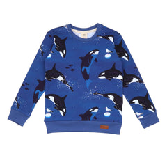 Pullover sweatshirt van katoen (biologisch)