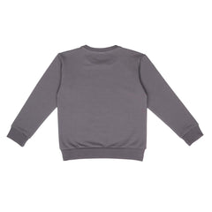 Pullover sweatshirt van katoen (biologisch)