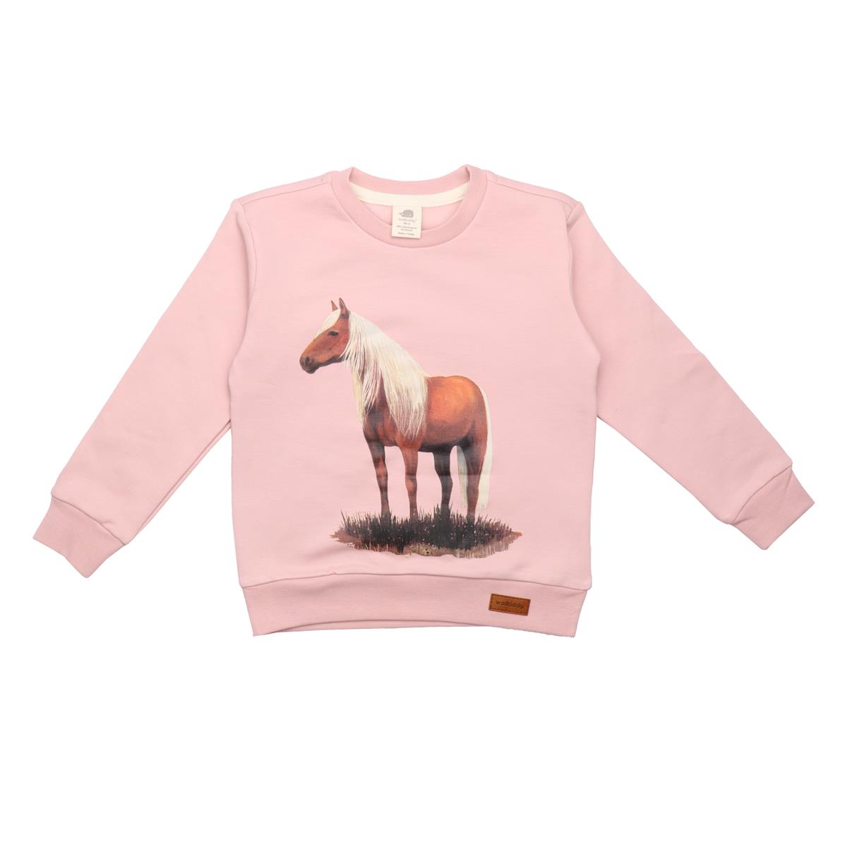 Pullover sweatshirt van katoen (biologisch)