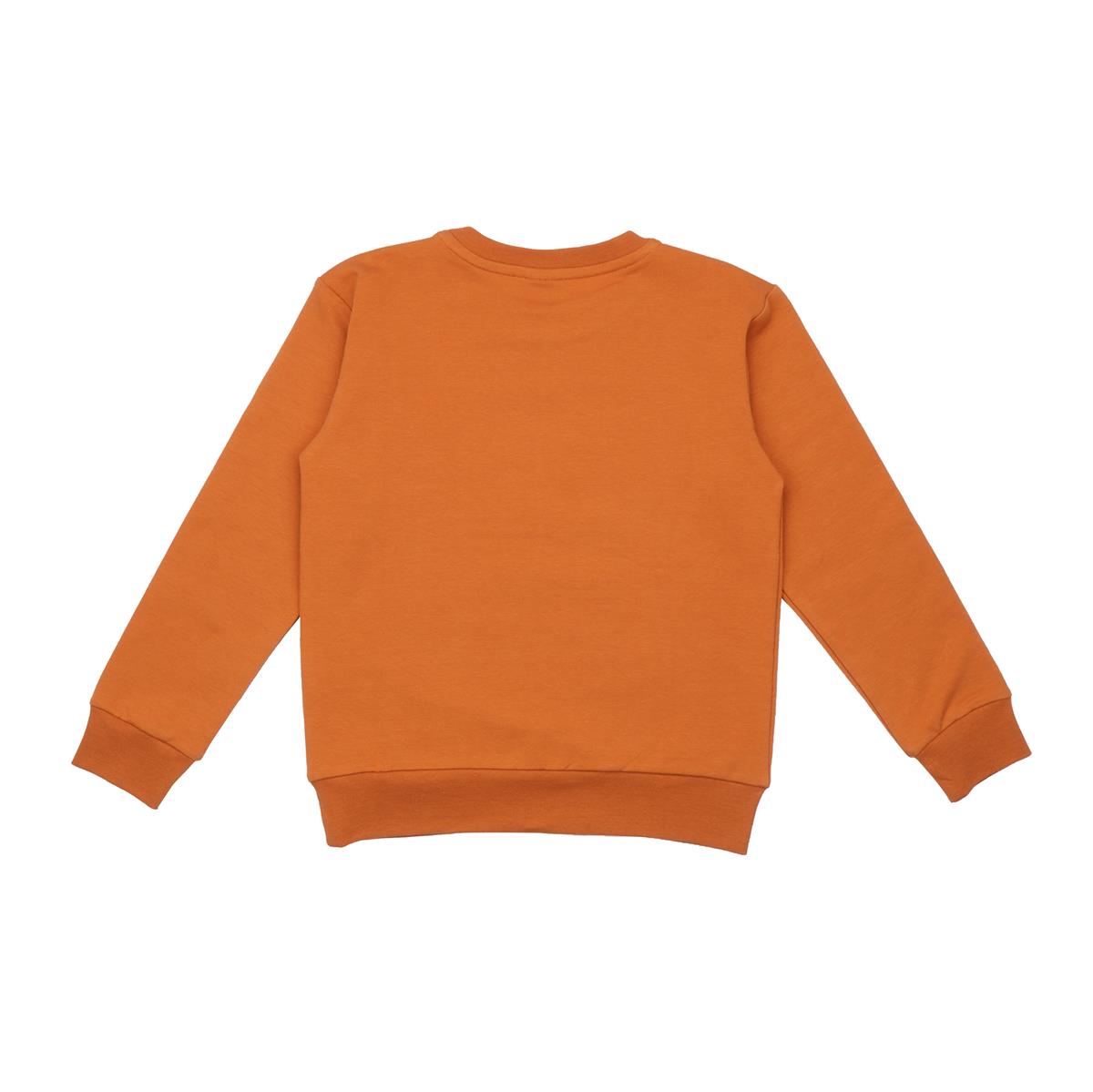 Pullover sweatshirt made of cotton (organic)