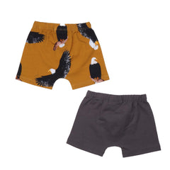 Boxers en coton (bio)